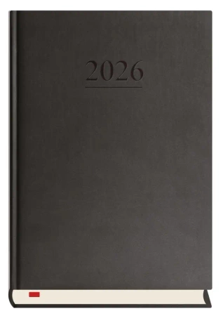 Terminarz 2026 A5 dzienny Menadżera czarny - Michalczyk i Prokop