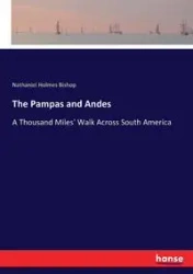 The Pampas and Andes - Nathaniel Bishop Holmes