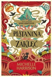 Plątanina zaklęć - Michelle Harrison, Łukasz Małecki