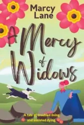 A Mercy of Widows - Lane Marcy