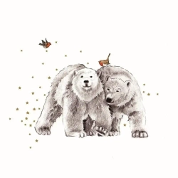 Karnet Swarovski kwadrat Niedźwiadki i ptaszki - Clear Creations