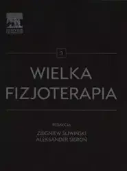 Wielka fizjoterapia Tom 3 - Śliwiński Zbigniew, Sieroń Aleksander