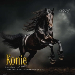 Kalendarz 2026 ścienny albumowy 30x30cm Konie - AVANTI