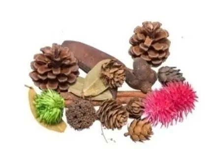 Susz dekoracyjny 30g - Brewis