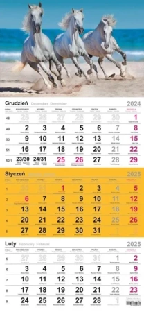 Kalendarz 2026 trójdzielny Zamek - praca zbiorowa