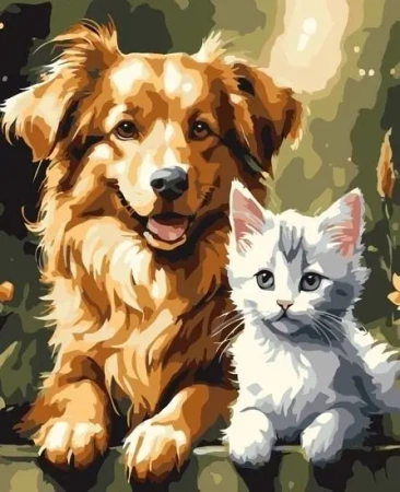 Malowanie po numerach - Kot-Pies 40x50cm - Qbee
