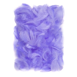 Piórka lilac 5-12cm 10g - Dalprint