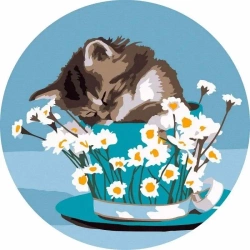 Malowanie po numerach okrągłe - Kotek i stokrotki - Twoje Hobby