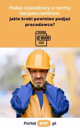 eBook Hałas zawodowy a normy bezpieczeństwa: jakie kroki powinien podjąć pracodawca - Dariusz Borowiecki epub mobi