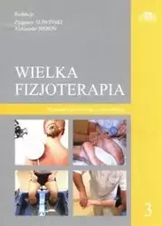 Wielka fizjoterapia. Tom 3 - Sliwiński Z., Sieroń A.