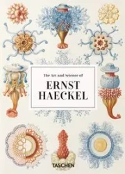 The Art and Science of Ernst Haeckel - Willmann Rainer, Julia Voss