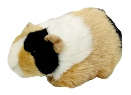 Świnka morska łaciata 20cm - Dubi