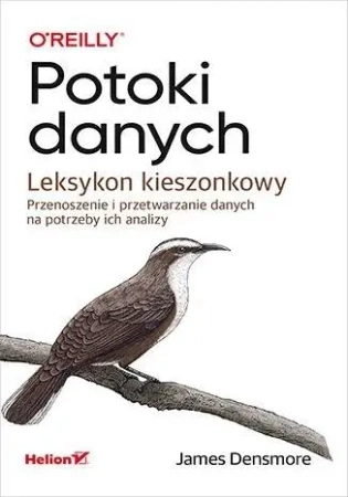 Potoki danych. Leksykon kieszonkowy - James Densmore