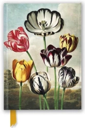 Notatnik A5 linia TW Tulipany Temple of Flora - Flame Tree