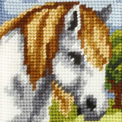 Haft. Moje pierwsze wyszywanie - Konik - Anex-bis