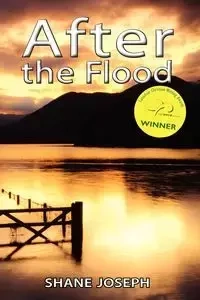 After the Flood - Joseph Shane
