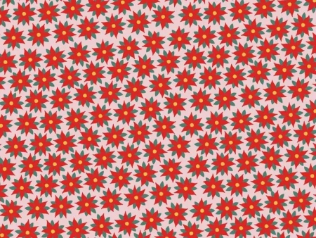 Papier do pakowania - Gwiazda betlejemska 70x200cm - PartyDeco