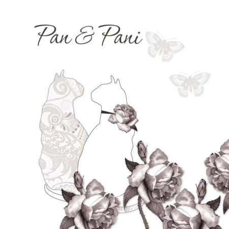 Karnet Swarovski kwadrat CL0101_BL Koty i motyle - Clear Creations