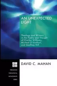 An Unexpected Light - David C. Mahan
