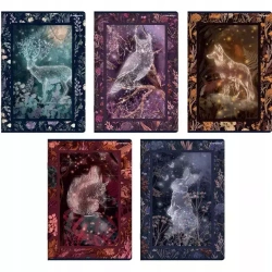 Zeszyt A5/60k linia Fairytale Top Fol A 10