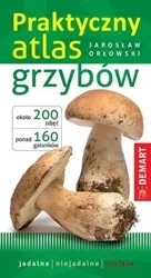 Praktyczny atlas grzybów - Jarosław Orłowski
