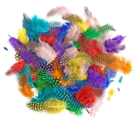 Piórka bażanta 4-7cm 10g brights - Dalprint dpCraft