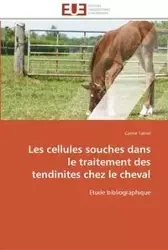 Les cellules souches dans le traitement des tendinites chez le cheval - TAHIER-C