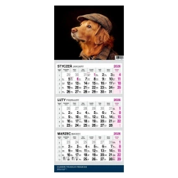 Kalendarz 2026 Trójdzielny Twarda Główka Pies - O-press