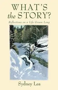 What's the Story? - Lea Sydney