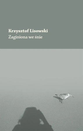 Zaginiona we śnie - Krzysztof Lisowski