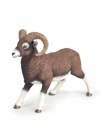 Muflon - PAPO