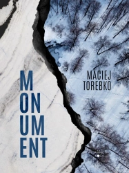 Momentum - Maciej Torebko