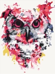 Malowanie po numerach - Sowa w kolorach - Brushme