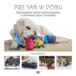 Pies sam w domu. Zapobieganie lękowi... - Kate Mallatratt