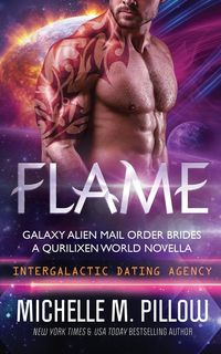 Flame - Michelle M. Pillow