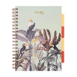 Kołozeszyt Pads B5/100K kratka Afryka pastel ziel - Strigo