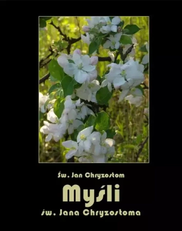 eBook Myśli św. Jana Chryzostoma - Św. Jan Chryzostom epub mobi