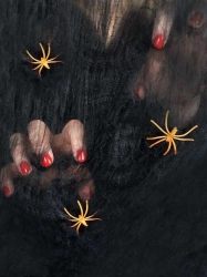 Czarna pajęczyna z pająkiem - Arpex