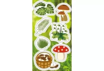 Naklejki Rośliny i Grzyby - Ranok-Creative