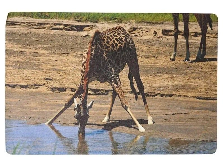 Podkładka na biurko piankowa żyrafa 60x40cm - ADAR