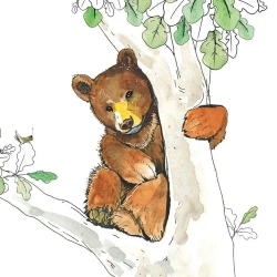 Karnet Swarovski kwadrat CL1224 Niedźwiadek - Clear Creations