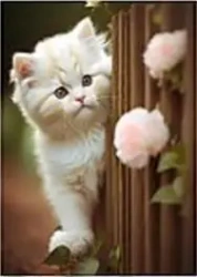 Mozaika diamentowa kotek 30x40cm - ADAR