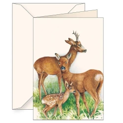 Karnet B6 + koperta 7509 Jelonki - Tassotti