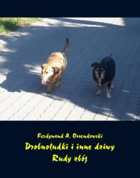 eBook Drobnoludki i inne dziwy. Rudy zbój - Antoni Ferdynand Ossendowski epub mobi