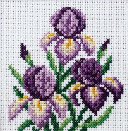 Zestaw do haftu krzyżykowego Irysy - Anex-Bis PAP