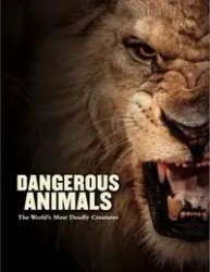 Dangerous Animals - Barry Madden