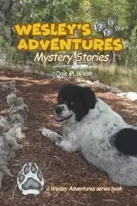 Wesley's Adventures - Dale Walsh