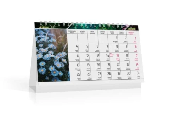 Kalendarz 2026 biurkowy flora - Kalpol