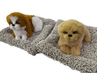 Piesek pluszowy na poduszce z dźwiękiem MIX - ADAR