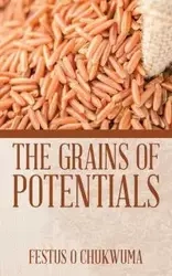 The Grains of Potentials - Chukwuma Festus O